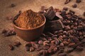 Nigeria floods to further cut cocoa crop, adding to shortage