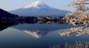 Japan erects 8-foot wall to ward off tourists trying to take perfect image of Mount Fuji