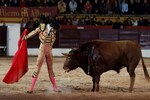 Spain abolishes national bullfighting award amid growing animal welfare concerns
