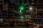 Thai cannabis advocates urge govt to re-criminalise marijuana