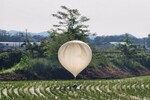 North Korea uses massive balloons to dump its trash into South Korea: Report