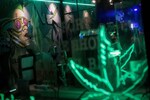 After legalising marijuana in 2022, Thailand now wants to outlaw cannabis again