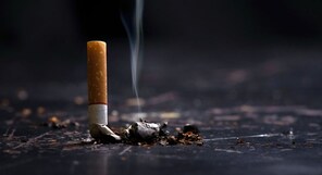 Fitment Committee proposes GoM on rate rationalisation for tobacco products for clarity 
