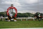 Karnataka High Court restrains Bangalore Turf Club's horse racing and betting activities
