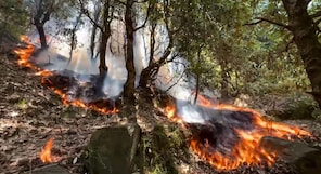 Watch | Massive wildfire in Bali-Tirchi area of Jammu and Kashmir's Udhampur destroys four houses